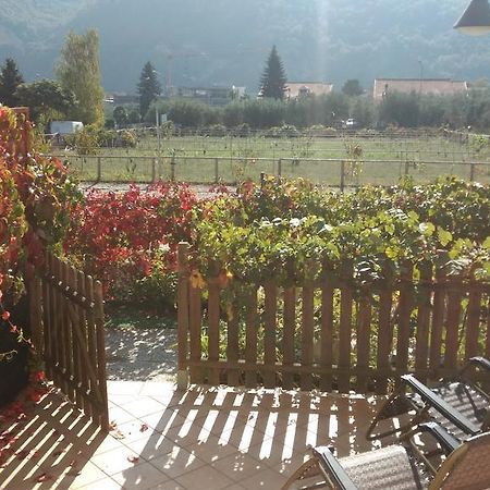 Agriturismo Le Collinette Вілланова-д'Альбенґа Екстер'єр фото