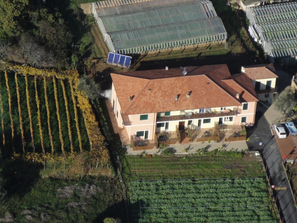 Agriturismo Le Collinette Вілланова-д'Альбенґа Екстер'єр фото