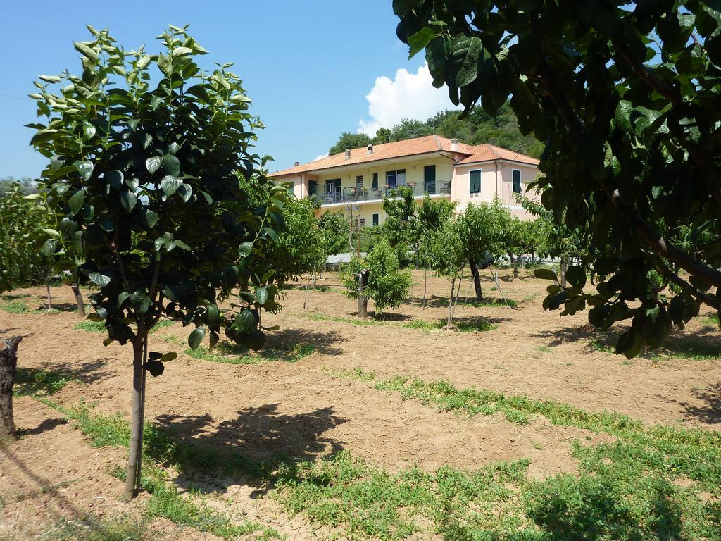 Agriturismo Le Collinette Вілланова-д'Альбенґа Номер фото